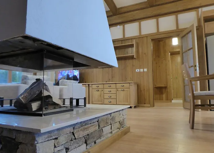 Луксозна вила Pirin Nest *